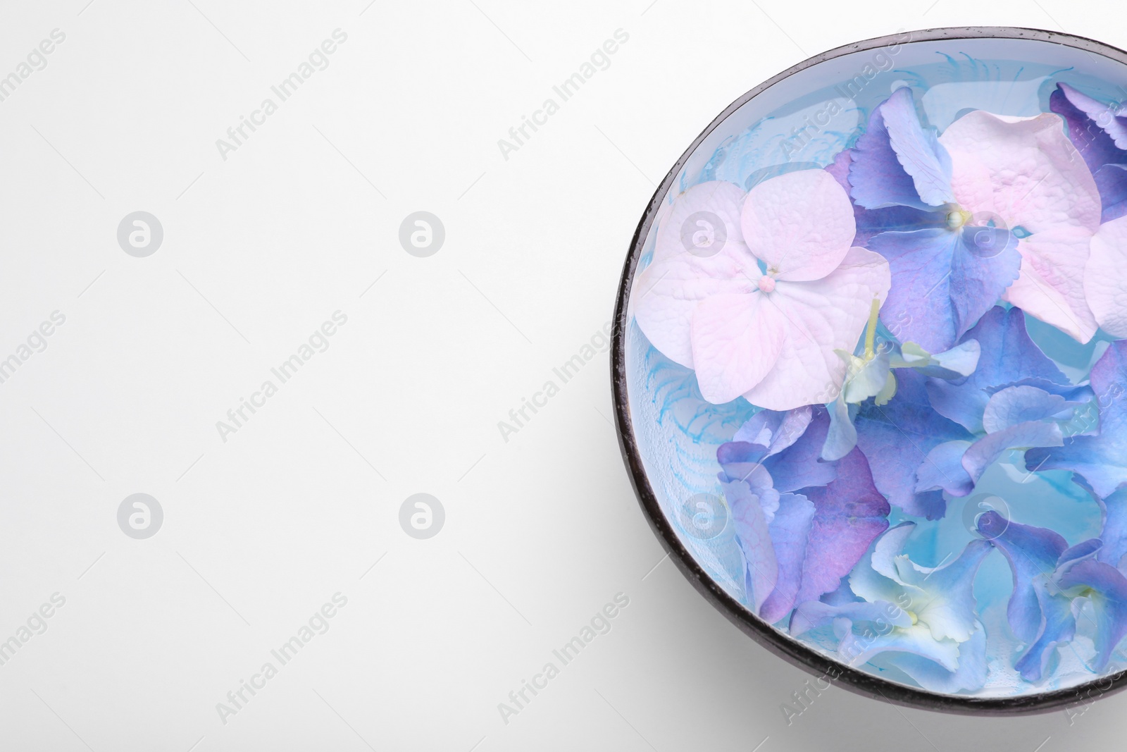 Photo of Spa composition. Aromatic water and flowers in bowl on white background, top view. Space for text