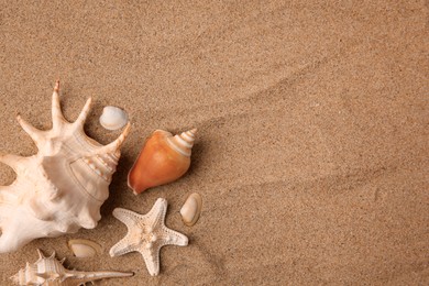 Beautiful sea star and shells on sand, flat lay. Space for text