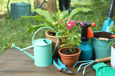 Photo of Beautiful plants and gardening tools on wooden table at backyard