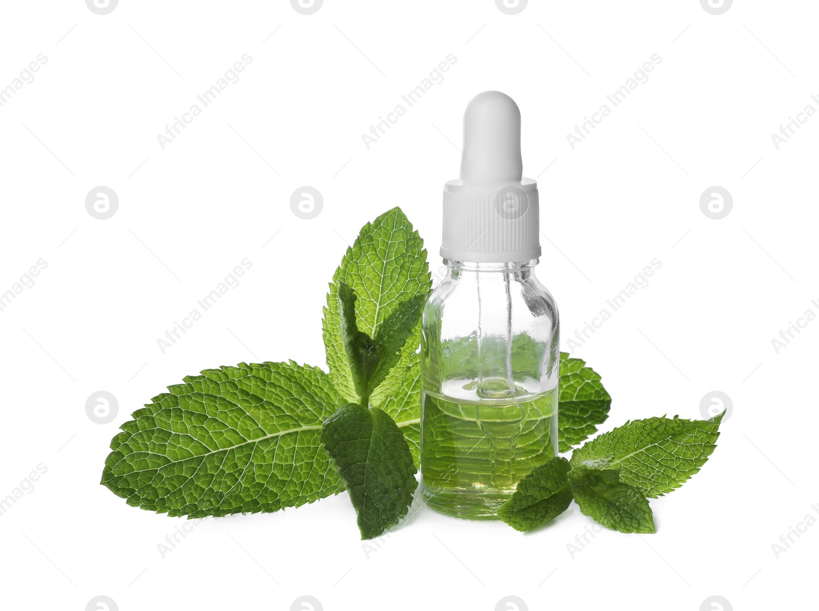 Photo of Bottle of essential oil and mint on white background