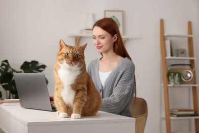 Photo of Woman working with laptop at desk. Cute cat sitting near owner at home, selective focus and space for text