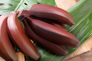 Photo of Delicious red baby bananas on wooden table, closeup view