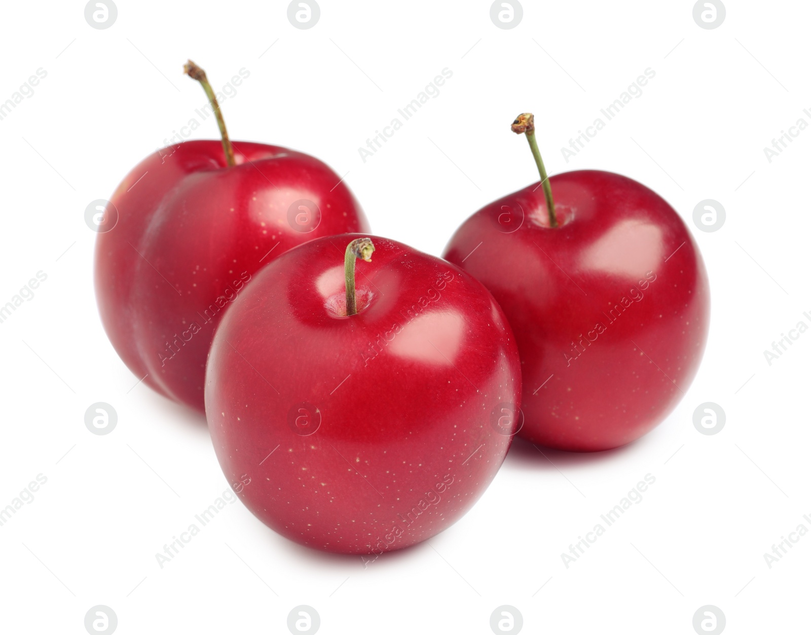 Photo of Delicious ripe cherry plums on white background