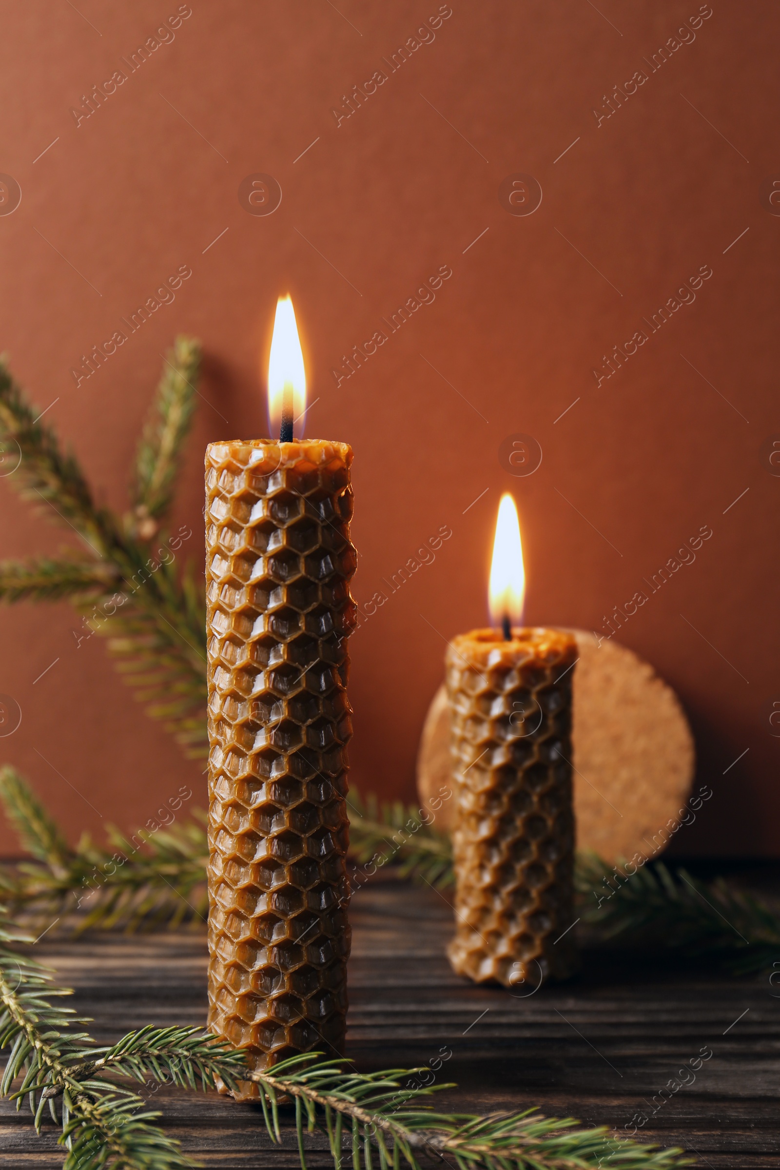 Photo of Stylish burning beeswax candles with spruce branches on wooden table