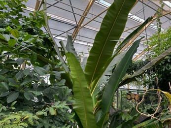 Photo of Many different plants growing in botanical garden