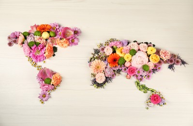 World map made of different beautiful flowers on light wooden table, flat lay