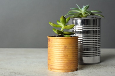 Photo of Beautiful houseplants in tin cans on light grey stone table, closeup