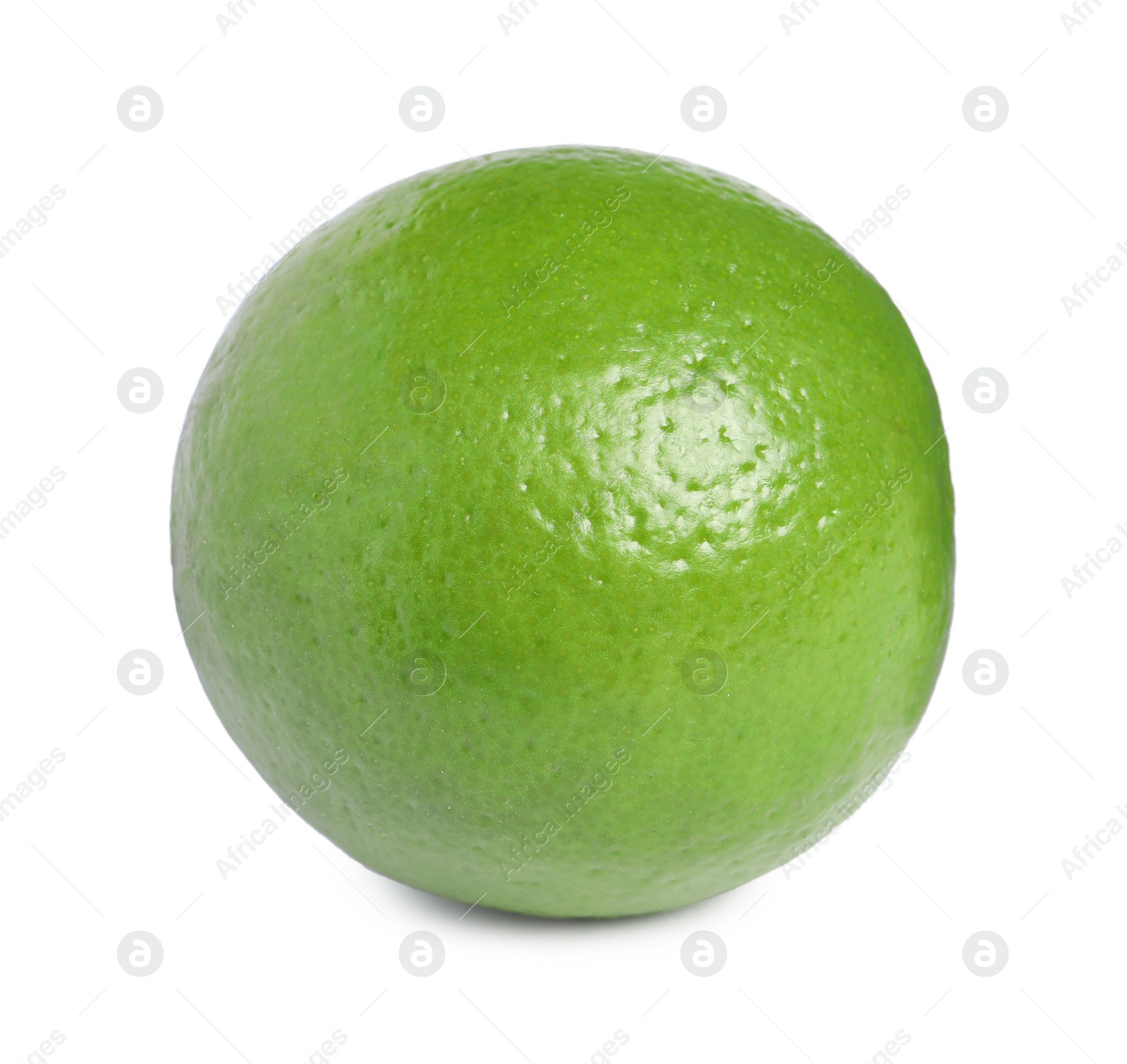 Photo of Citrus fruit. One fresh lime isolated on white