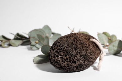 Photo of Pumice stone and eucalyptus on white background