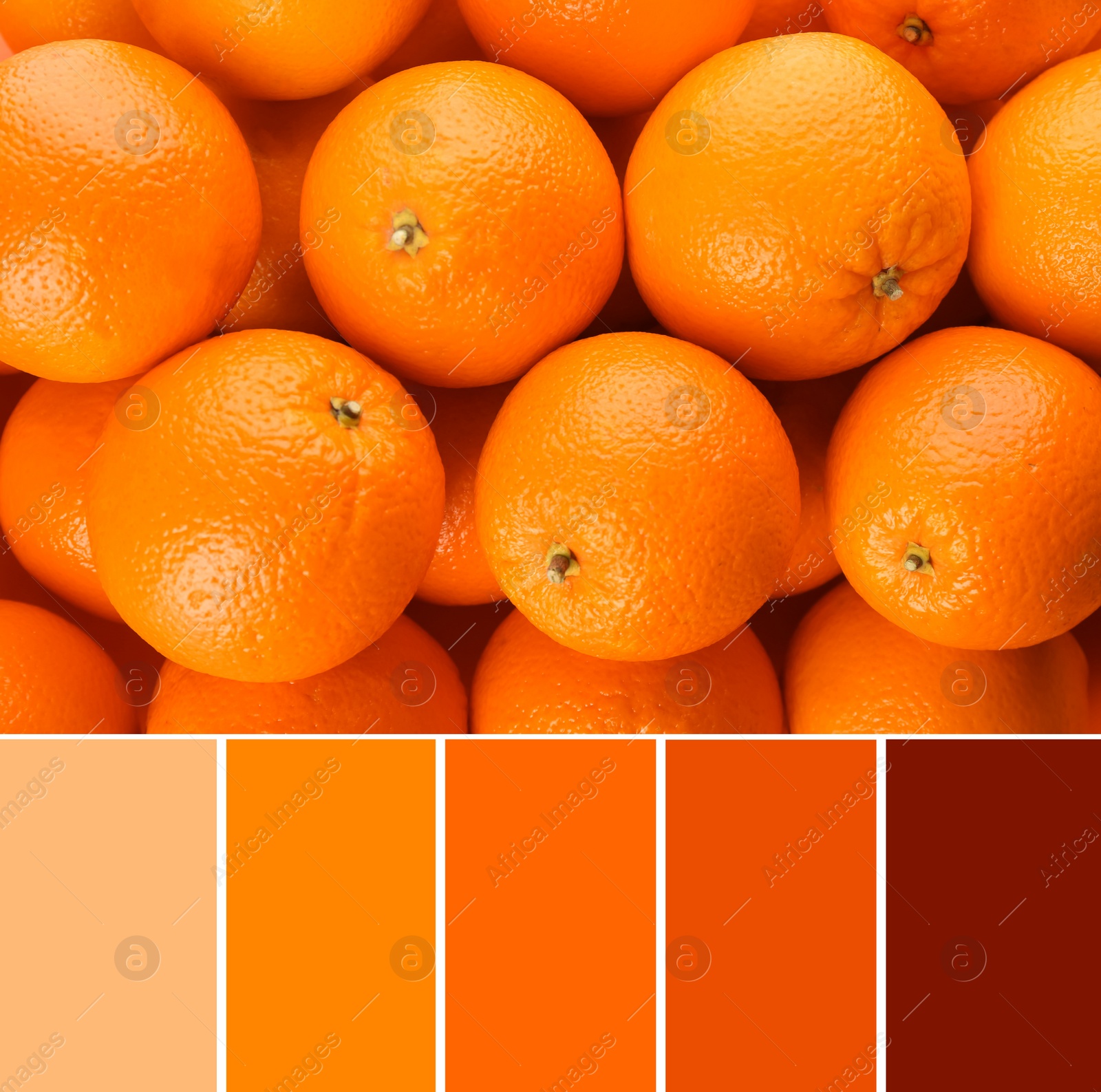 Image of Color palette and fresh ripe oranges as background, top view