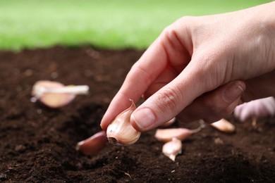 Photo of Woman planting garlic cloves into fertile soil outdoors, closeup