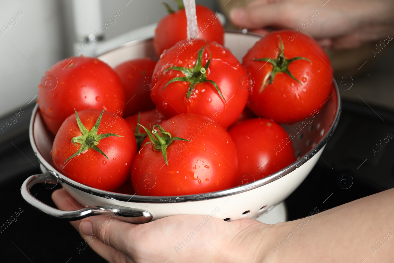 Photo of Woman washing ripe tomatoes in sink, closeup