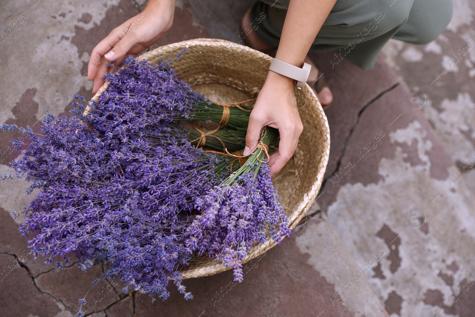 Photo of Woman with basket of beautiful lavender flowers outdoors, closeup