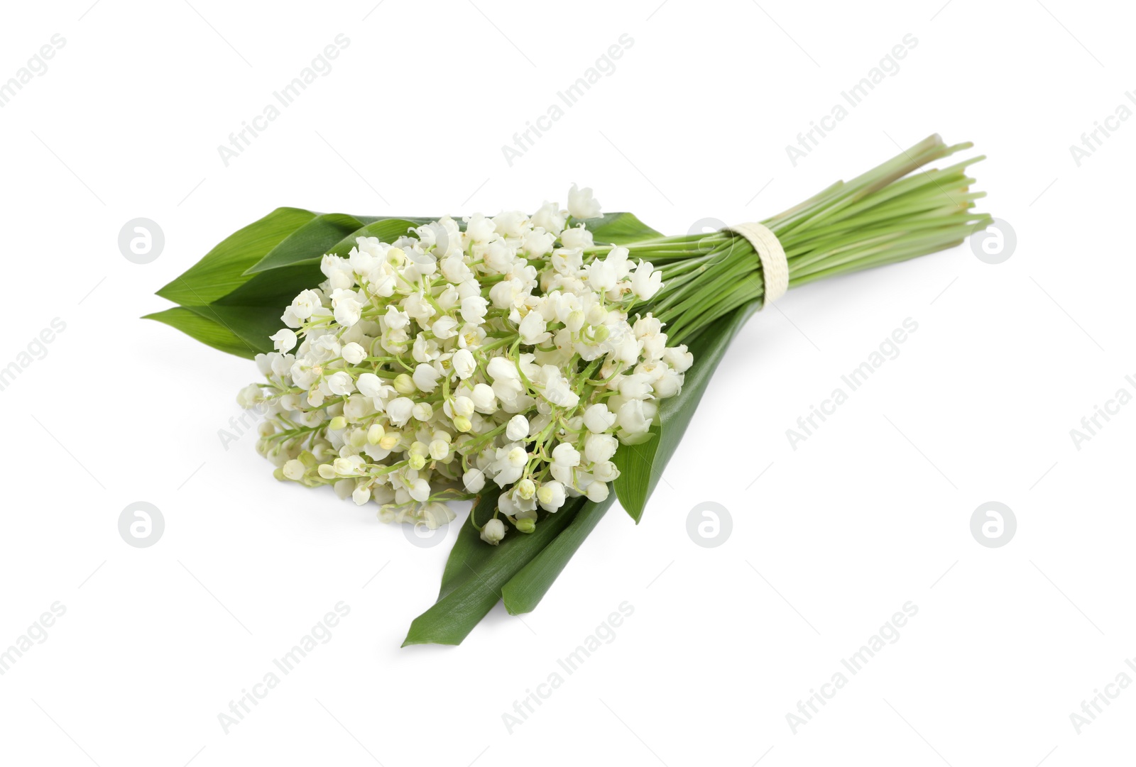 Photo of Beautiful lily of the valley bouquet on white background