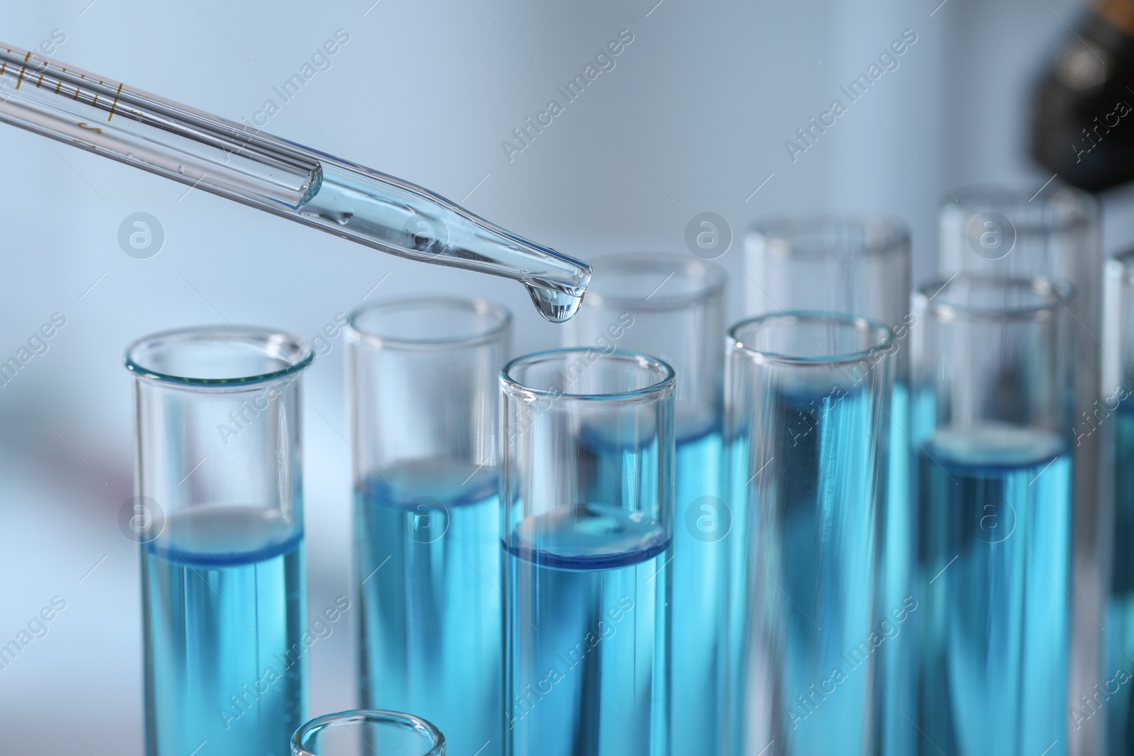 Photo of Dripping liquid from pipette into test tube in laboratory, closeup