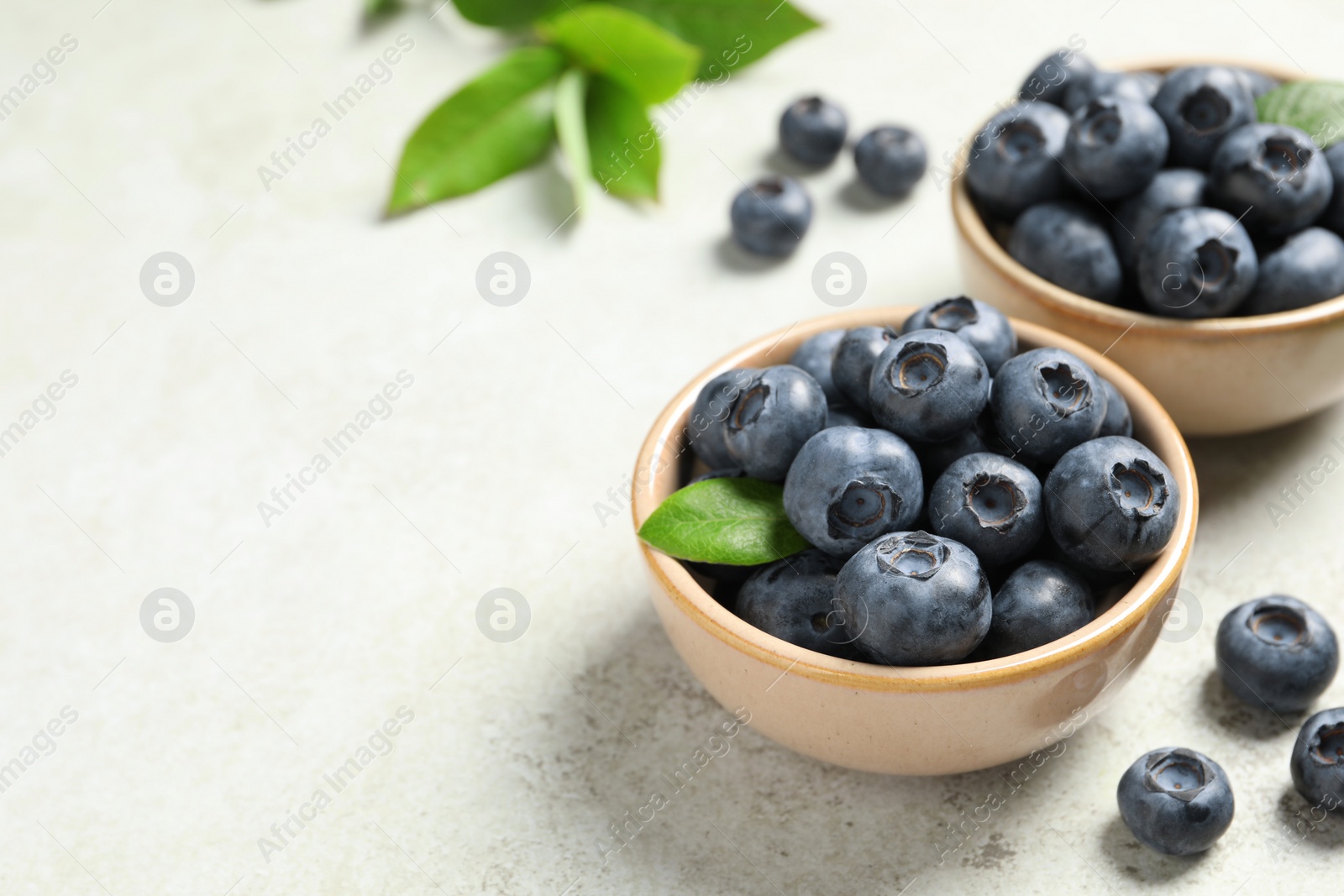 Photo of Tasty fresh blueberries in bowls on light grey table, closeup. Space for text