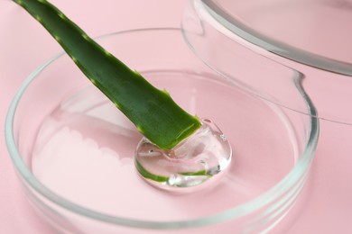 Photo of Petri dish with aloe plant and cosmetic product on pink background, closeup