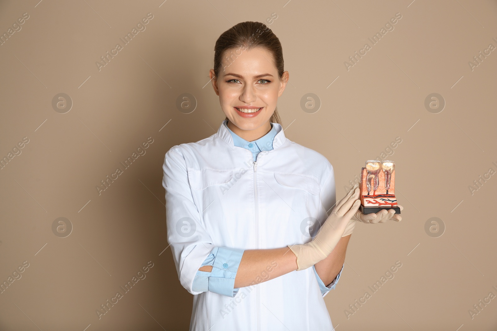 Photo of Female dentist holding teeth model on color background