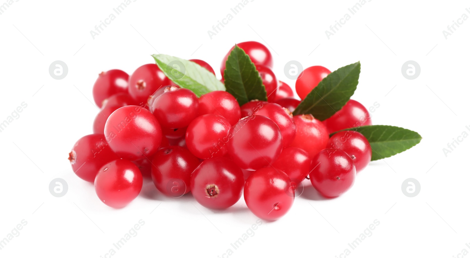 Photo of Pile of fresh ripe cranberries with leaves on white background