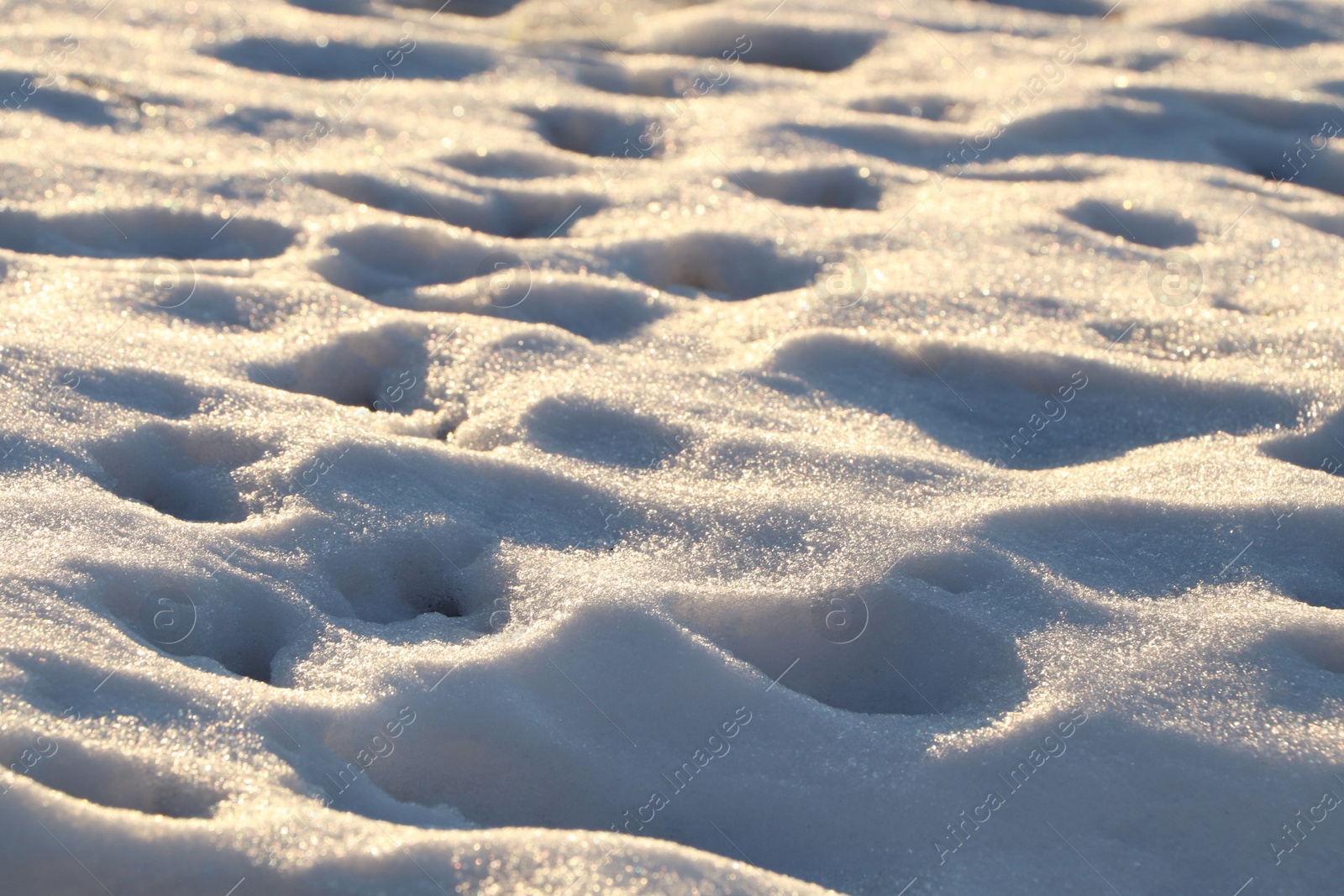 Photo of Beautiful snow outdoors on sunny day. Winter weather