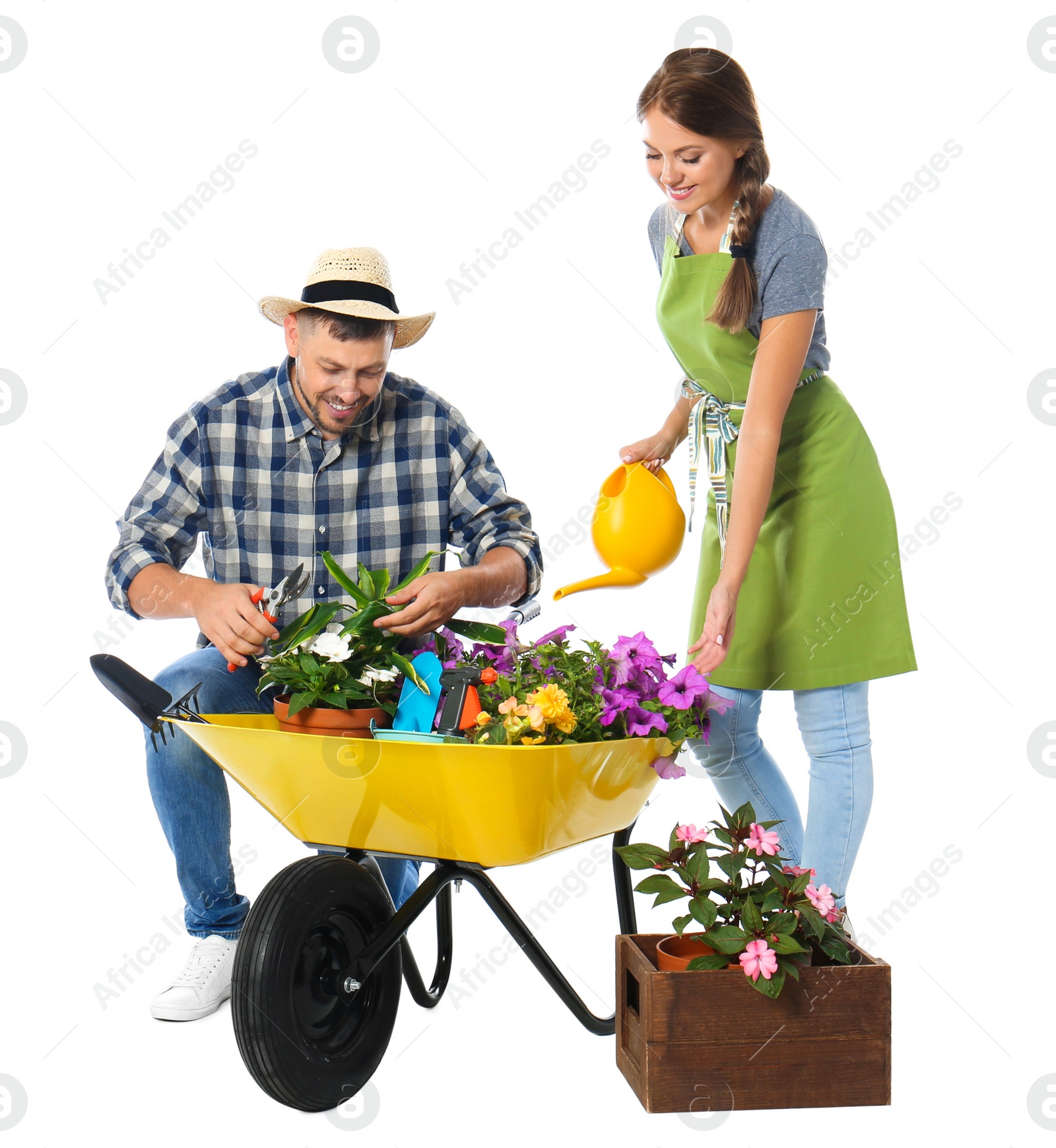 Photo of Couple of gardeners with wheelbarrow and plants on white background