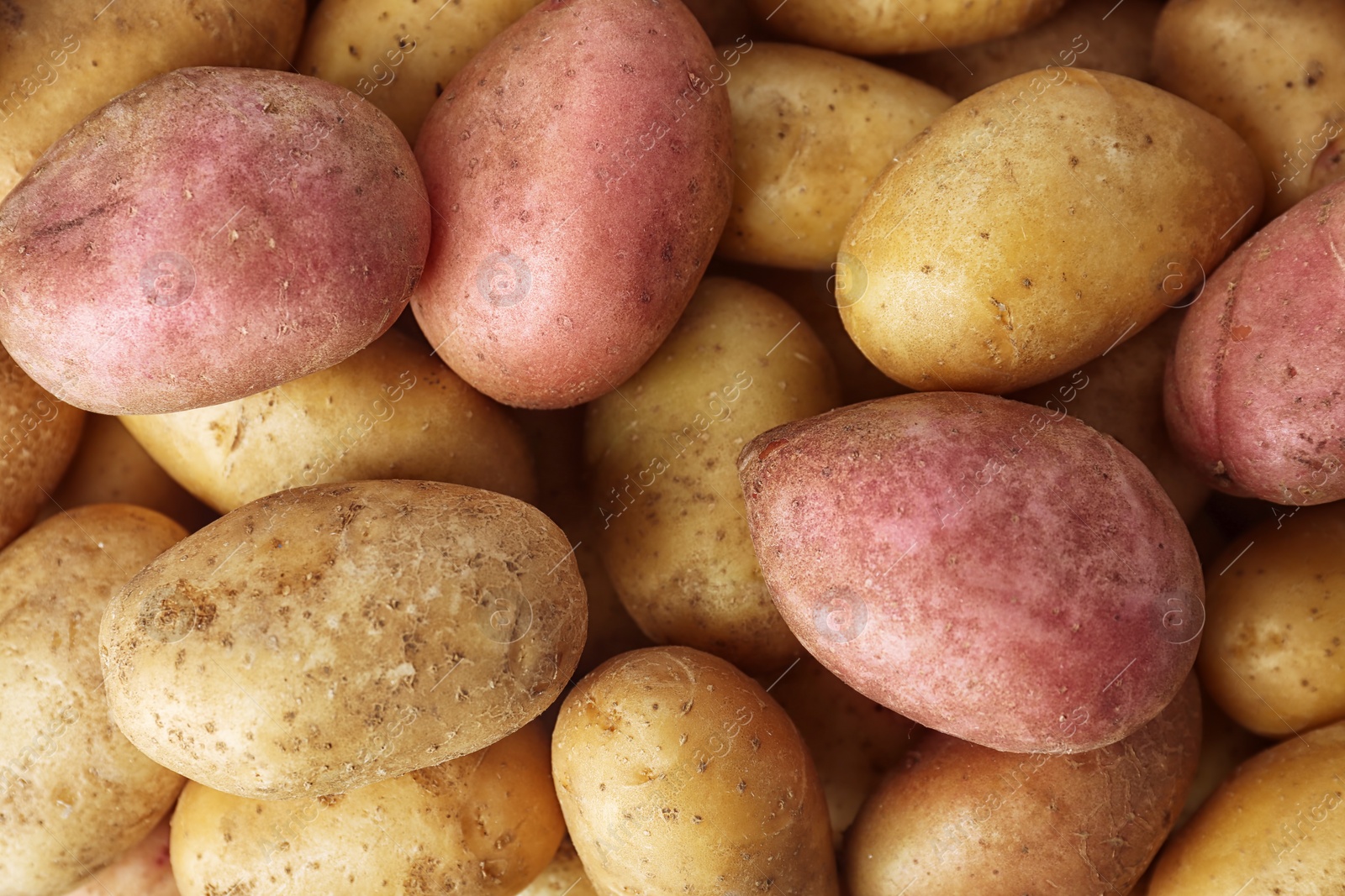 Photo of Fresh ripe organic potatoes as background, top view