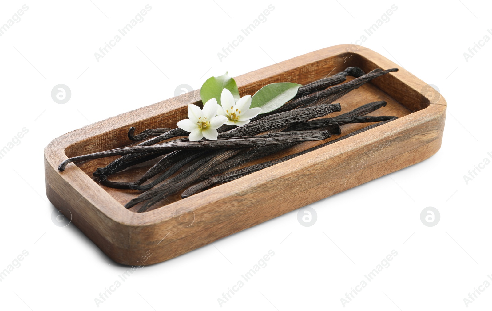 Photo of Vanilla pods, green leaves and flowers isolated on white