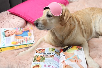 Photo of Cute Labrador Retriever with sleep mask and magazines on bed