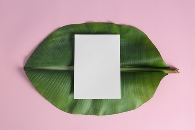 Photo of Flat lay composition with green banana leaf and space for text on color background. Tropical foliage