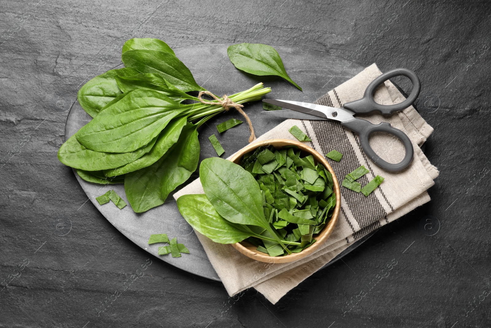 Photo of Broadleaf plantain leaves and scissors on black slate table, top view