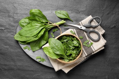 Broadleaf plantain leaves and scissors on black slate table, top view