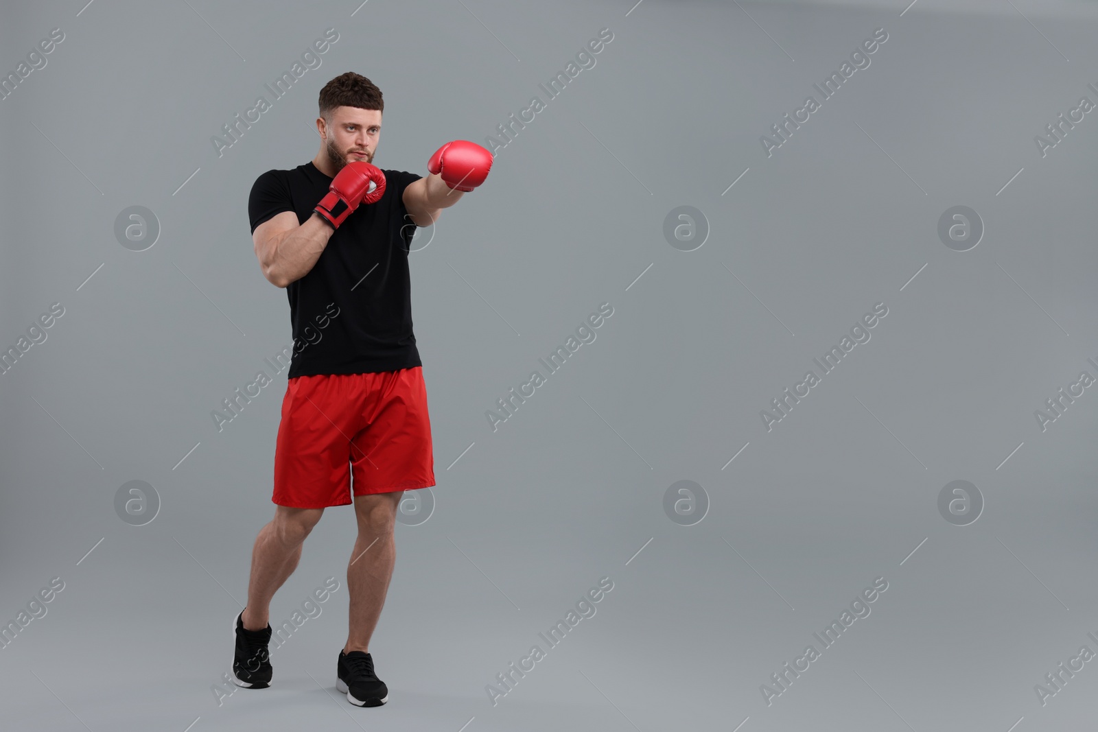 Photo of Man in boxing gloves fighting on grey background. Space for text