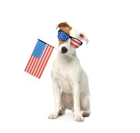 Image of 4th of July - Independence Day of USA. Cute dog with sunglasses and American flag on white background