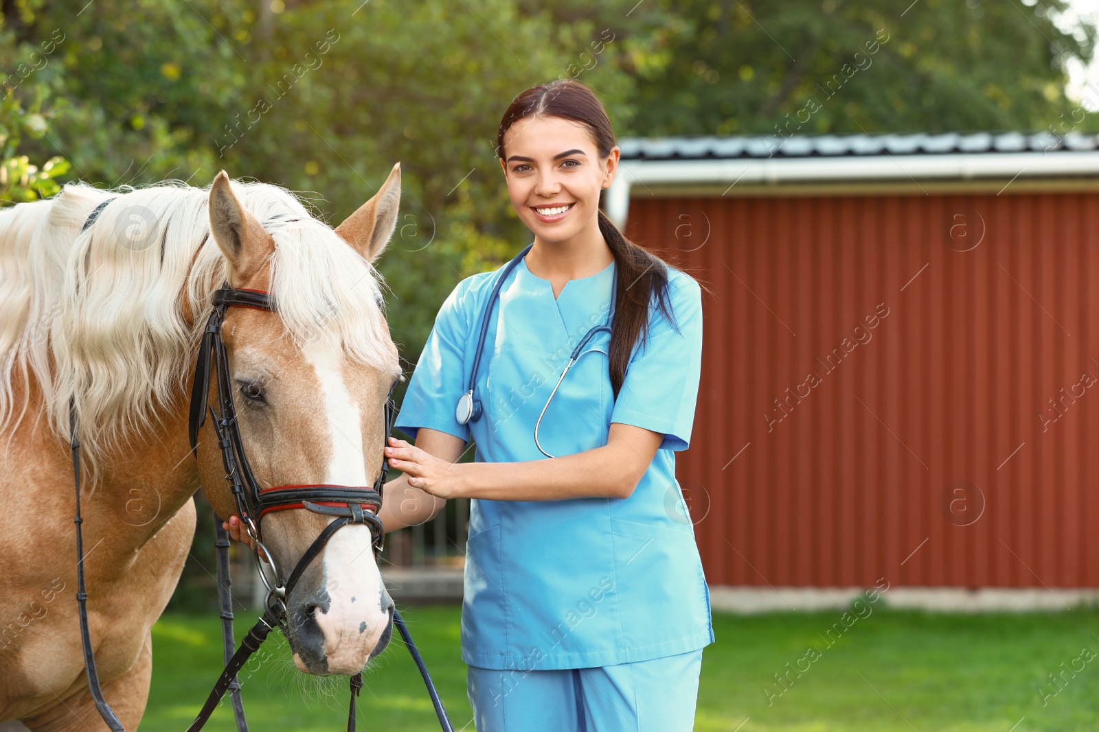 Photo of Young veterinarian with palomino horse outdoors on sunny day