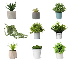 Set of artificial plants in flower pots isolated on white