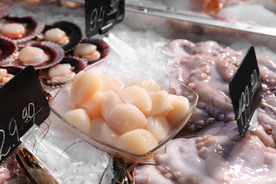 Photo of Fresh scallops and other seafood on ice. Wholesale market