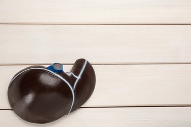 Photo of Model of liver on white wooden table, top view. Space for text