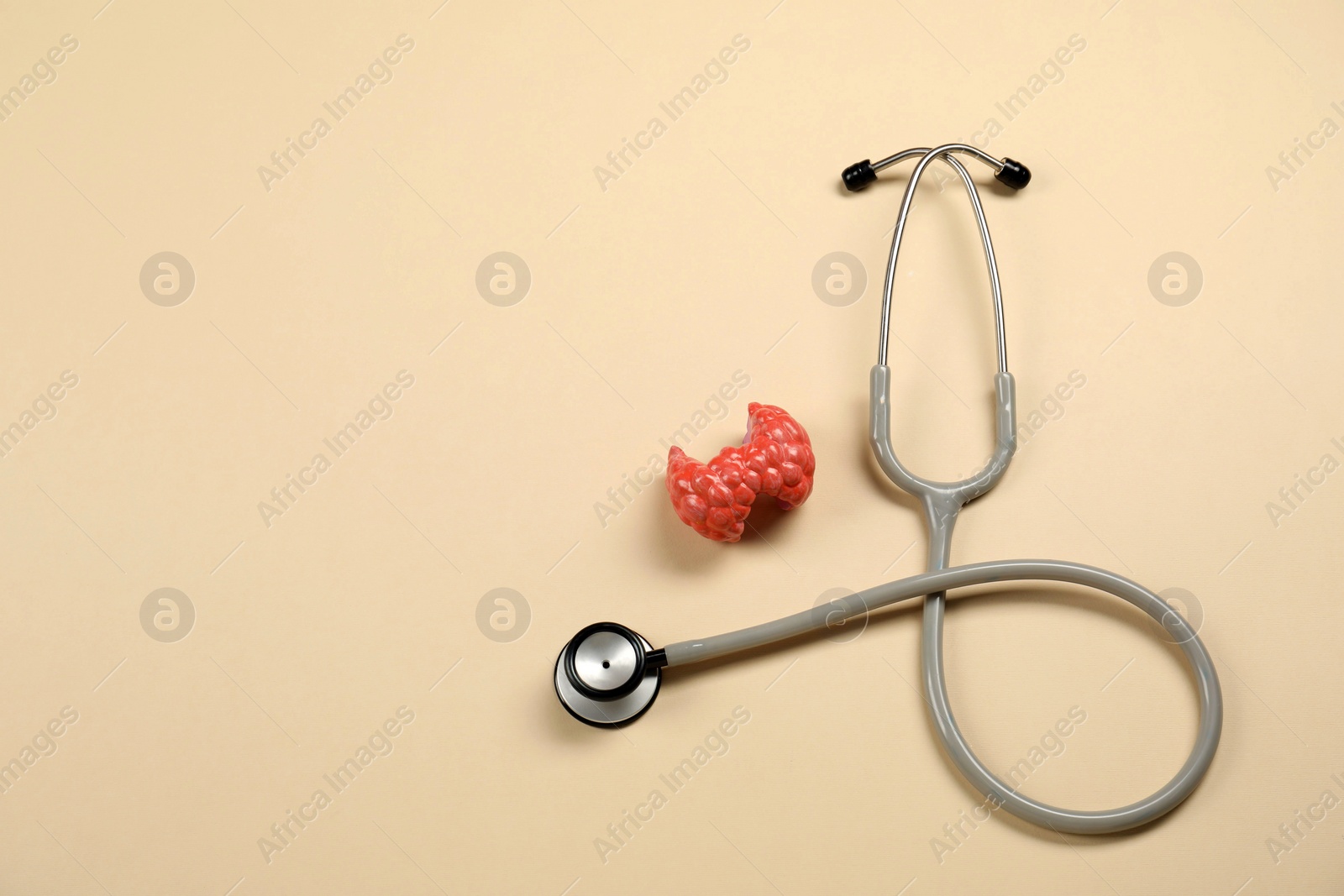 Photo of Endocrinology. Stethoscope and model of thyroid gland on beige background, top view. Space for text