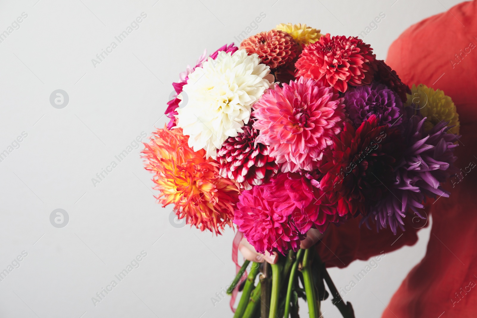 Photo of Woman with bouquet of beautiful dahlia flowers on light background, closeup. Space for text