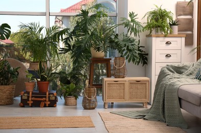 Stylish living room with beautiful plants. Interior design