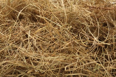 Photo of Dried grass hay as background, closeup view