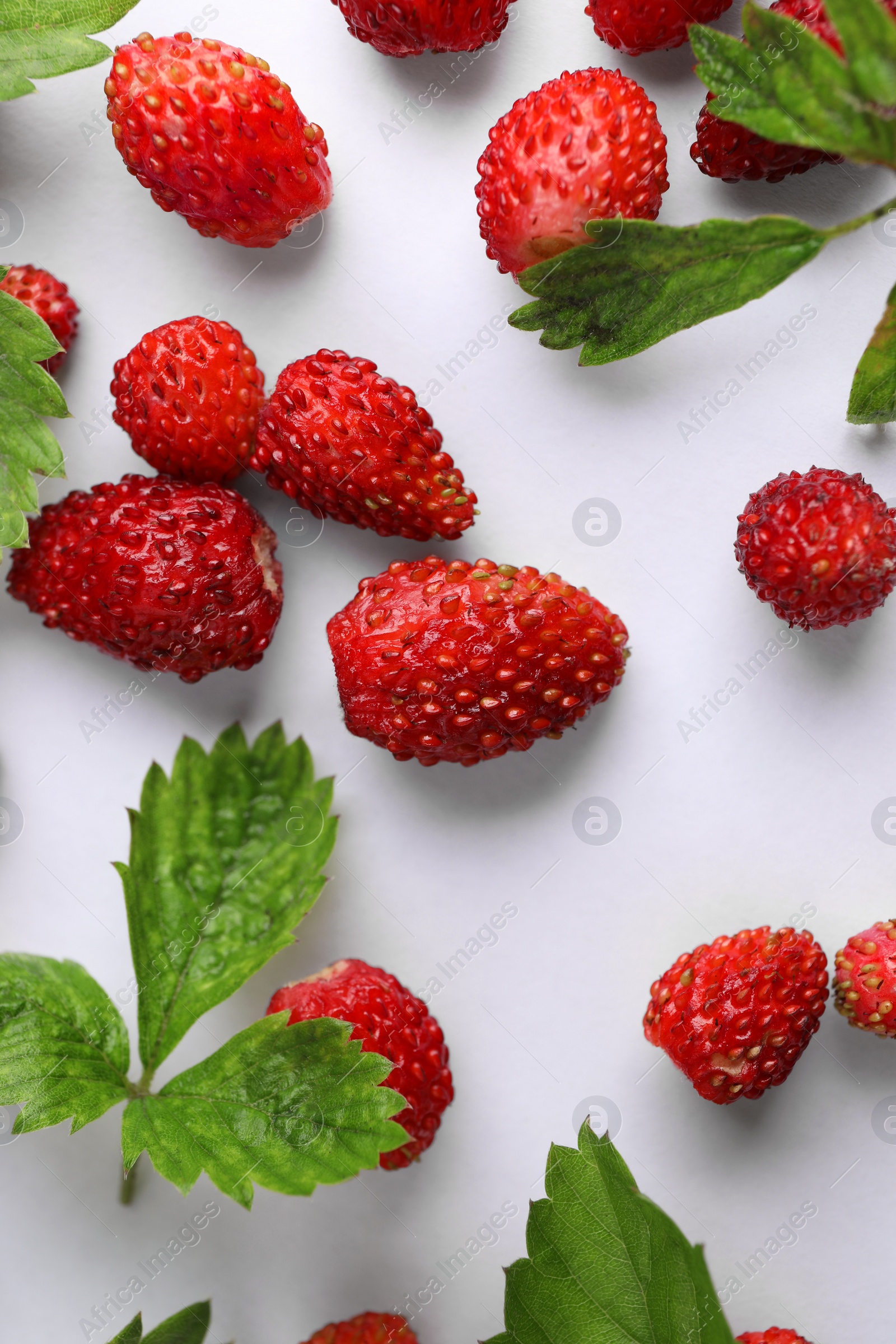 Photo of Many fresh wild strawberries and leaves on white background, flat lay