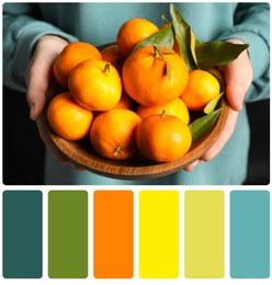 Image of Color matching palette. Woman holding bowl of ripe tangerines, closeup