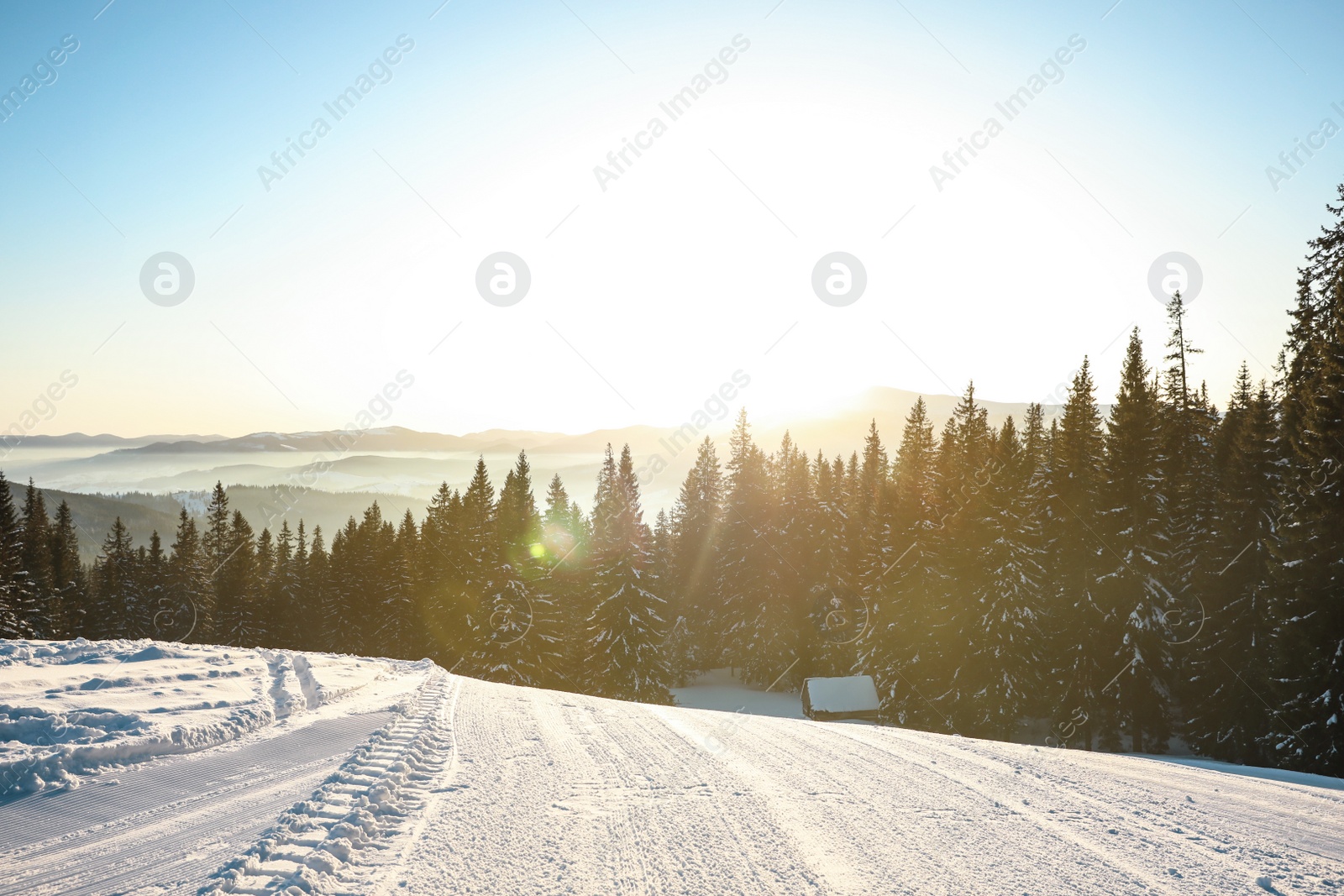 Photo of Empty road covered with snow on winter day