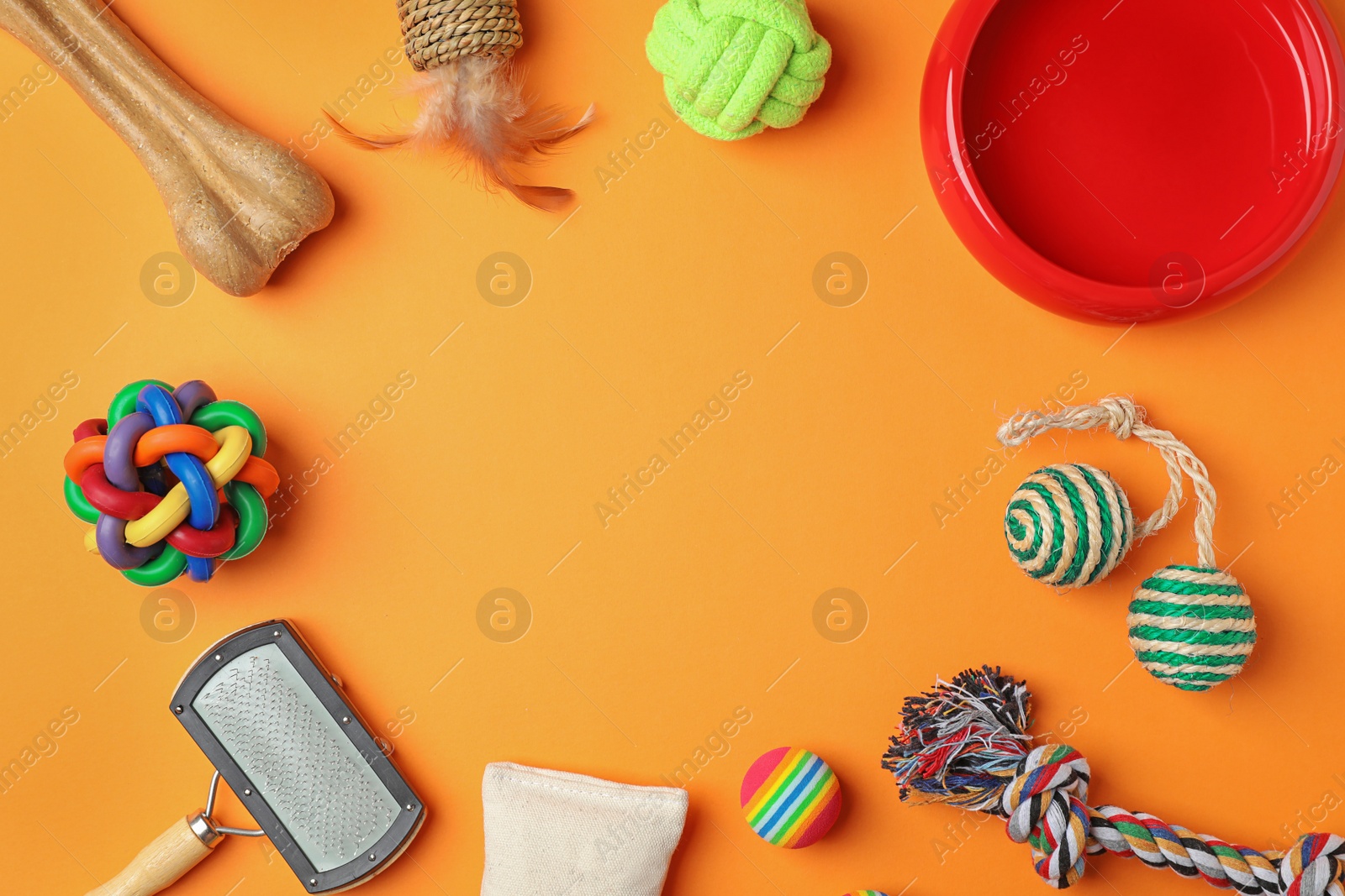 Photo of Flat lay composition with accessories for dog and cat on color background. Pet care