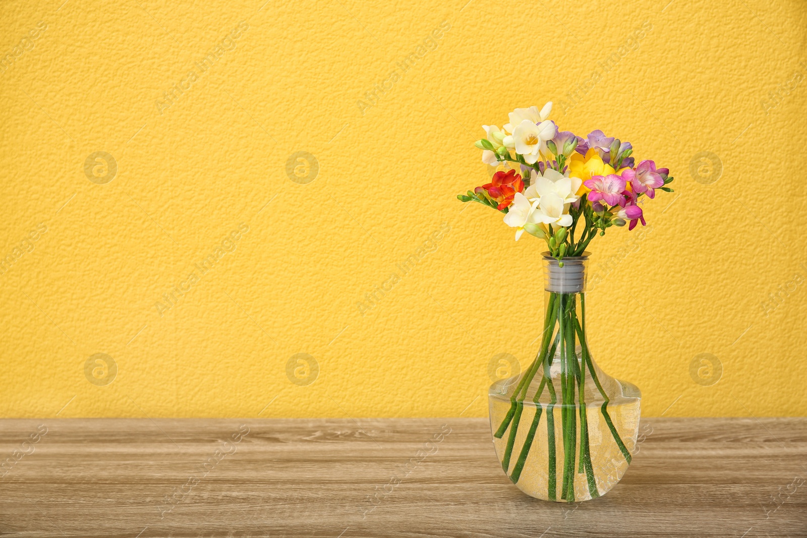 Photo of Glass vase with beautiful freesia flowers on table against color background