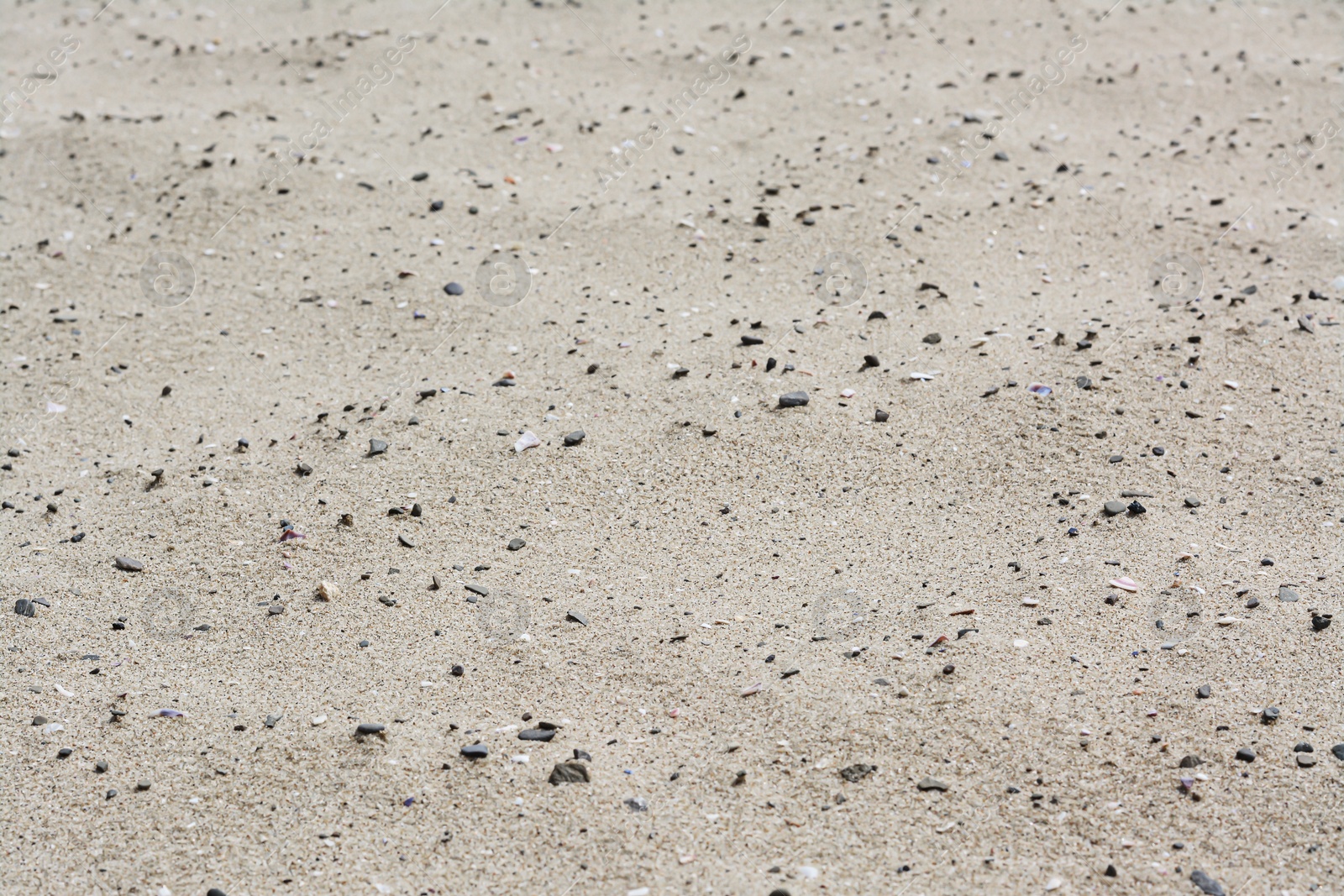 Photo of Texture of sandy beach as background, closeup