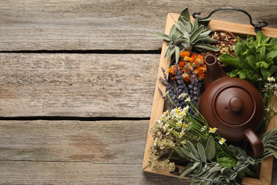 Photo of Tray with teapot surrounded by different herbs on wooden table, top view. Space for text