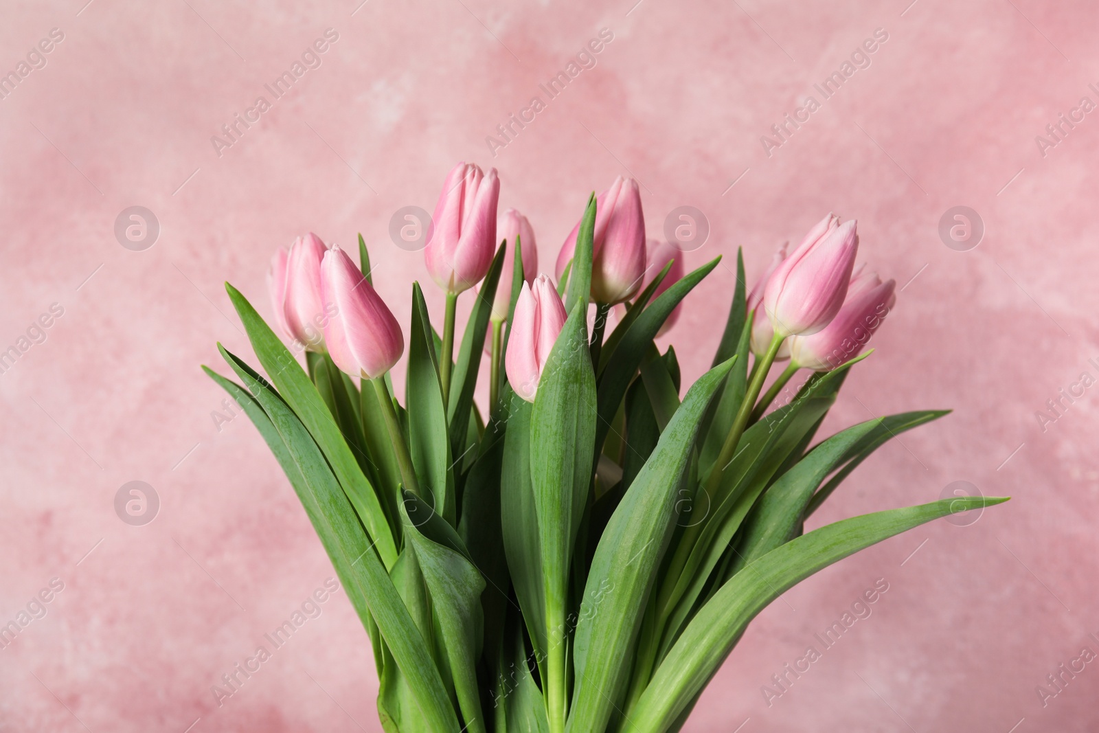 Photo of Bouquet of beautiful spring tulips on light pink background