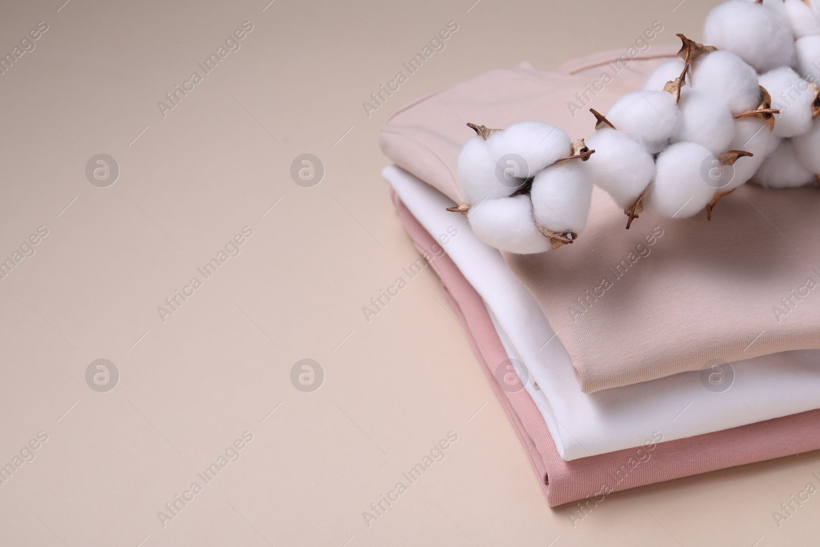 Photo of Cotton branch with fluffy flowers and t-shirts on beige background, space for text